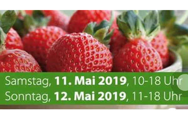 11.05.2019-12.05.2019 – GARTEN & GAUMEN IN TÜBINGEN